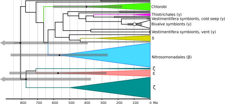 Recent origin of iron oxidation in extant microbial groups and low clade fidelity of iron metabolisms.