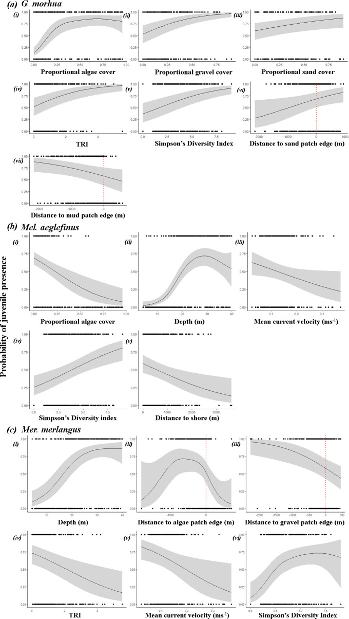 Seascape ecology of juvenile gadoid nursery areas.