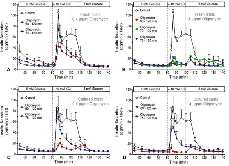 The Amount of Releasable Insulin Depends on Continuous Oxidative Phosphorylation.
