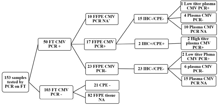 Cytomegalovirus Detection by PCR on Fresh and Formalin-Fixed Colon Tissue Biopsies of Children with Colitis: A Prospective Cohort Study.