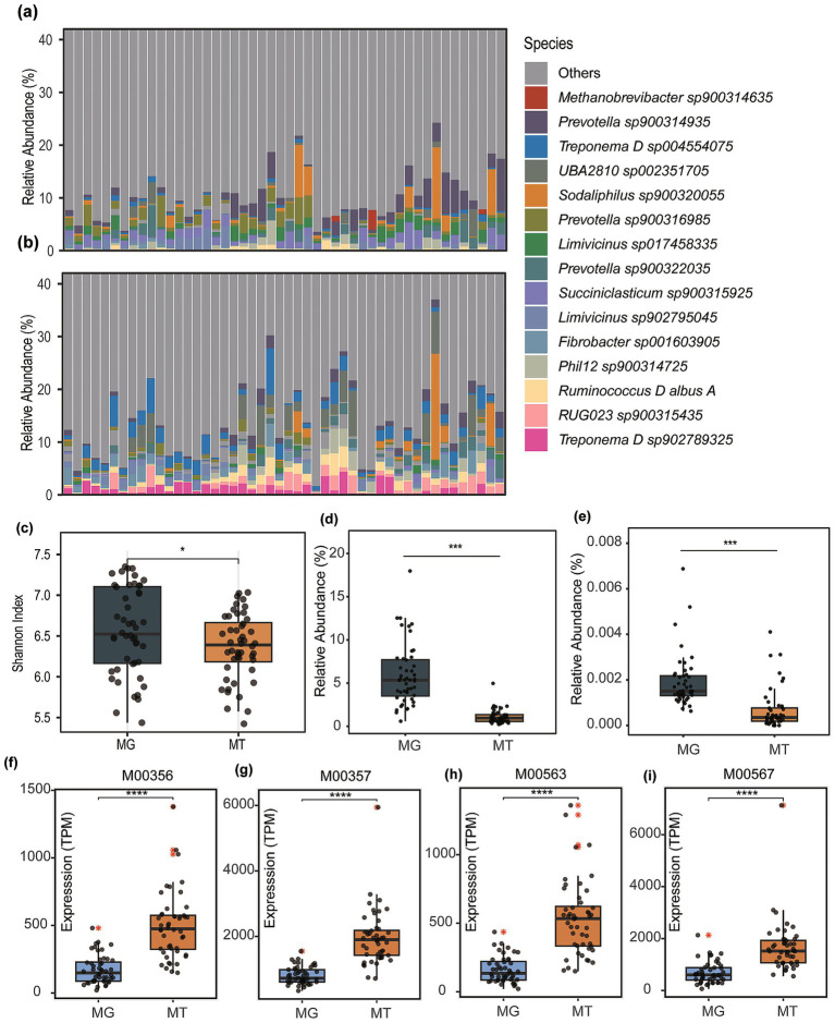 Partial <i>Treponema</i> spp. as candidate probiotics for rumen methane mitigation revealed by a module-based activity index.