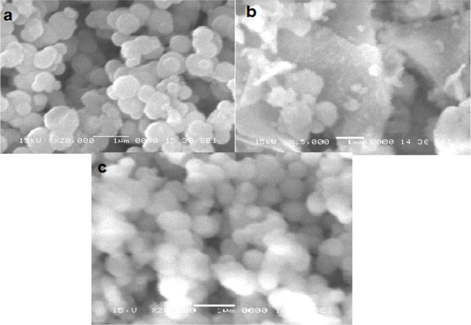 Antibacterial, antibiofilm and cytotoxic activity of synthesized metal-incorporated mesoporous silica nanoparticles.