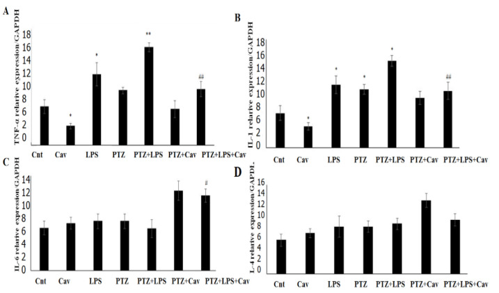 Carvacrol alleviates the proconvulsive effects of lipopolysaccharide (LPS) and reduces the gene expression of proinflammatory cytokines <i>interleukin-1</i> and <i>tumor necrosis factor-α</i>.