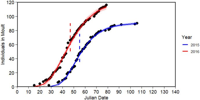 Mass loss, timing and duration of catastrophic moult in little penguins.