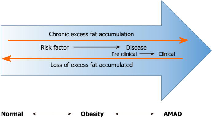 Type 2 diabetes mellitus: Isn't it time to update the terminology?
