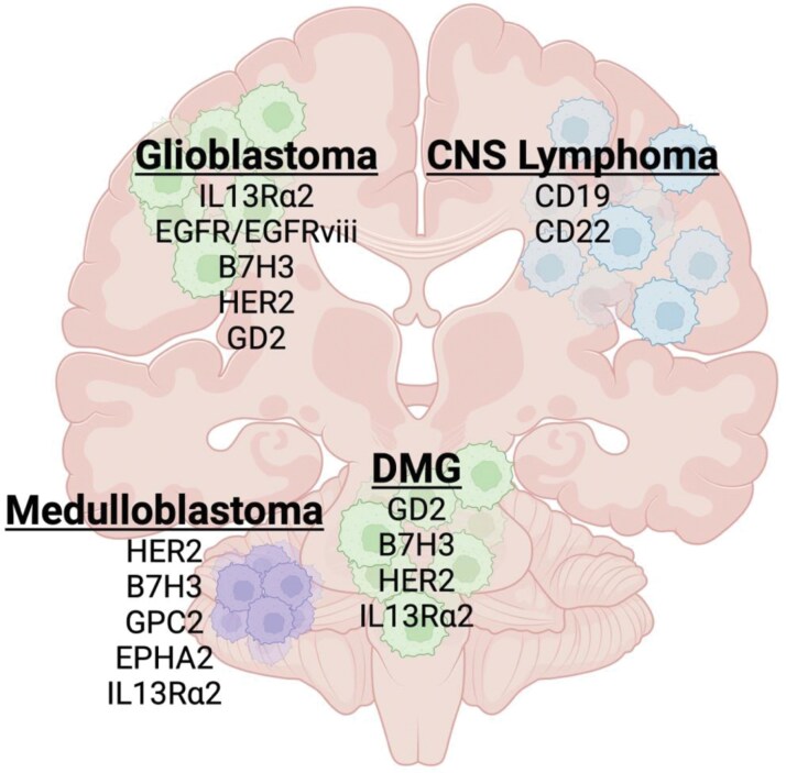 Cellular immunotherapies for central nervous system cancers.