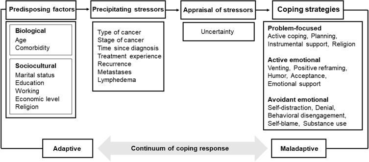 Factors Influencing Coping Strategies of Women with Advanced Gynecological Cancer: A Secondary Analysis.