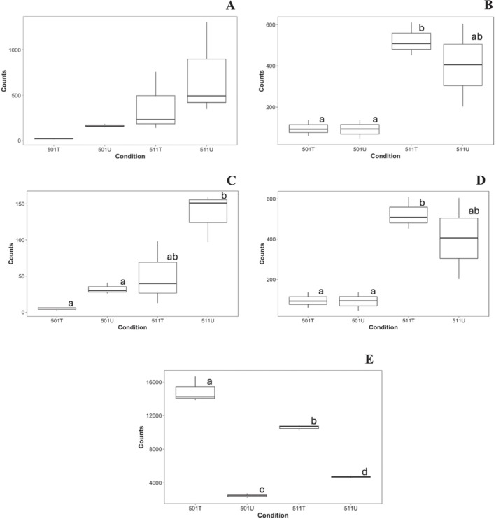 Determination of the Mechanisms of MCPA Resistance in <i>Amaranthus powellii</i>.