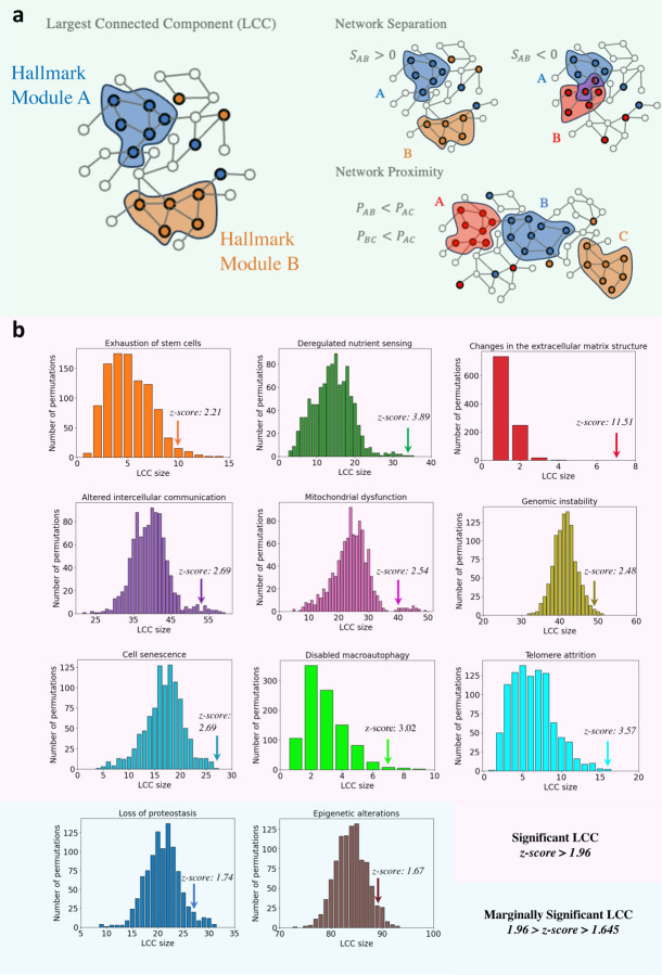 Network-driven discovery of repurposable drugs targeting hallmarks of aging.