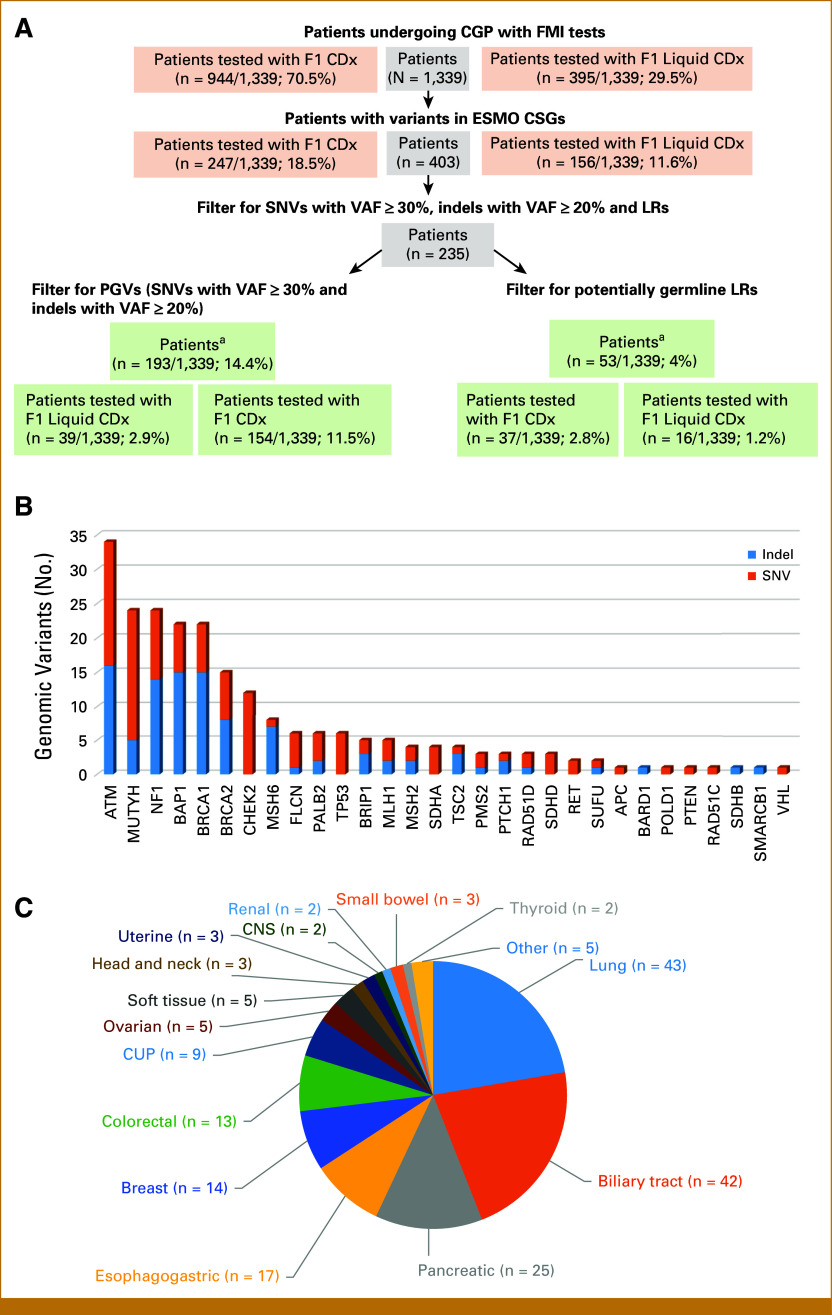 Germline Findings From Tumor-Only Comprehensive Genomic Profiling in the RATIONAL Study: A Missed Opportunity?