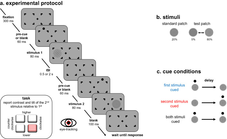 Transient increases to apparent contrast by exogenous attention persist in visual working memory.