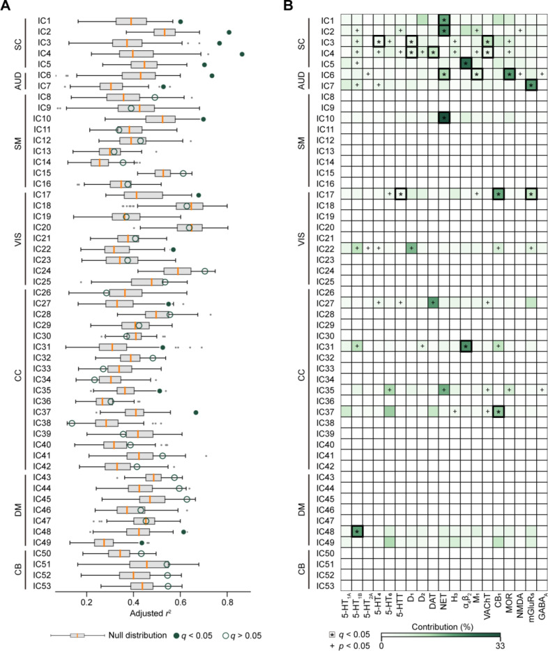 Cellular and molecular underpinnings of functional networks in the human brain.