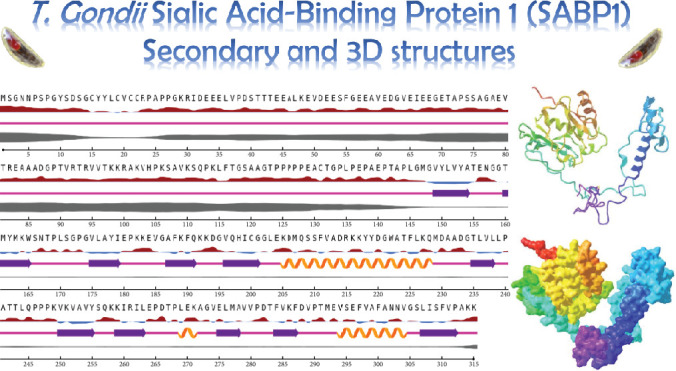 Sialic Acid-Binding Protein-1 (SABP1) of <i>Toxoplasma gondii</i>: Preliminary Computer-Based Epitope Mapping for Enhanced Vaccine Design.