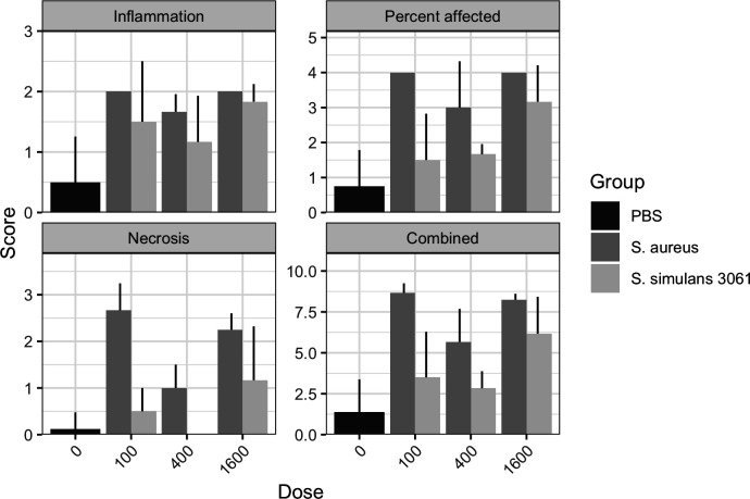 Evaluation of <i>Staphylococcus simulans</i> inhibition of <i>Staphylococcus aureus</i> infection by an <i>in vivo</i> murine mastitis model.