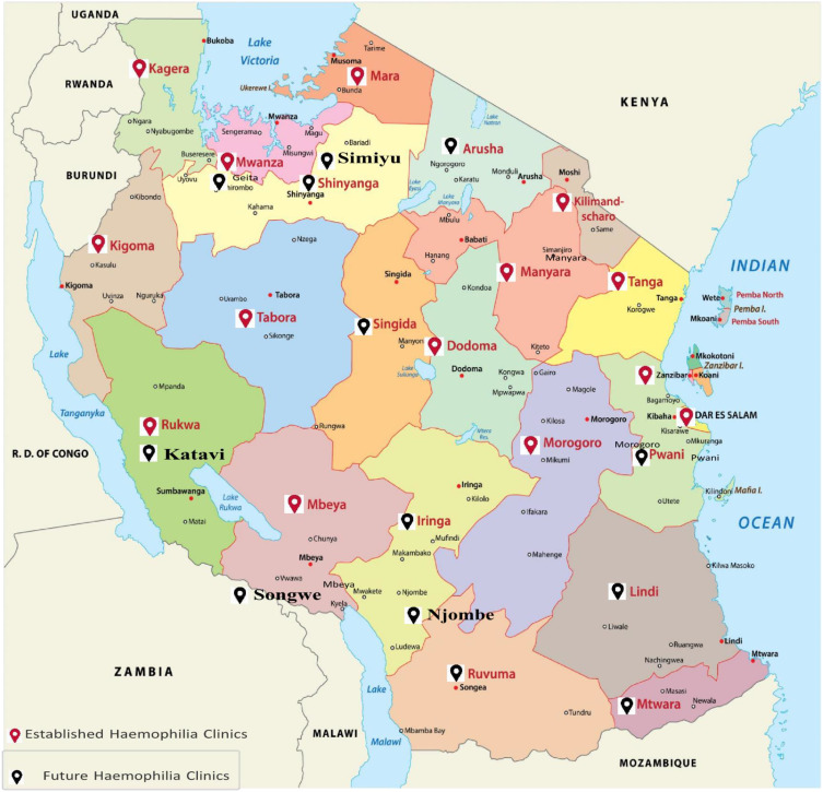 Journeying Towards Excellence in the Care of Patients with Haemophilia and Other Inherited Bleeding Disorders From a Developing World: Insights From Tanzania.