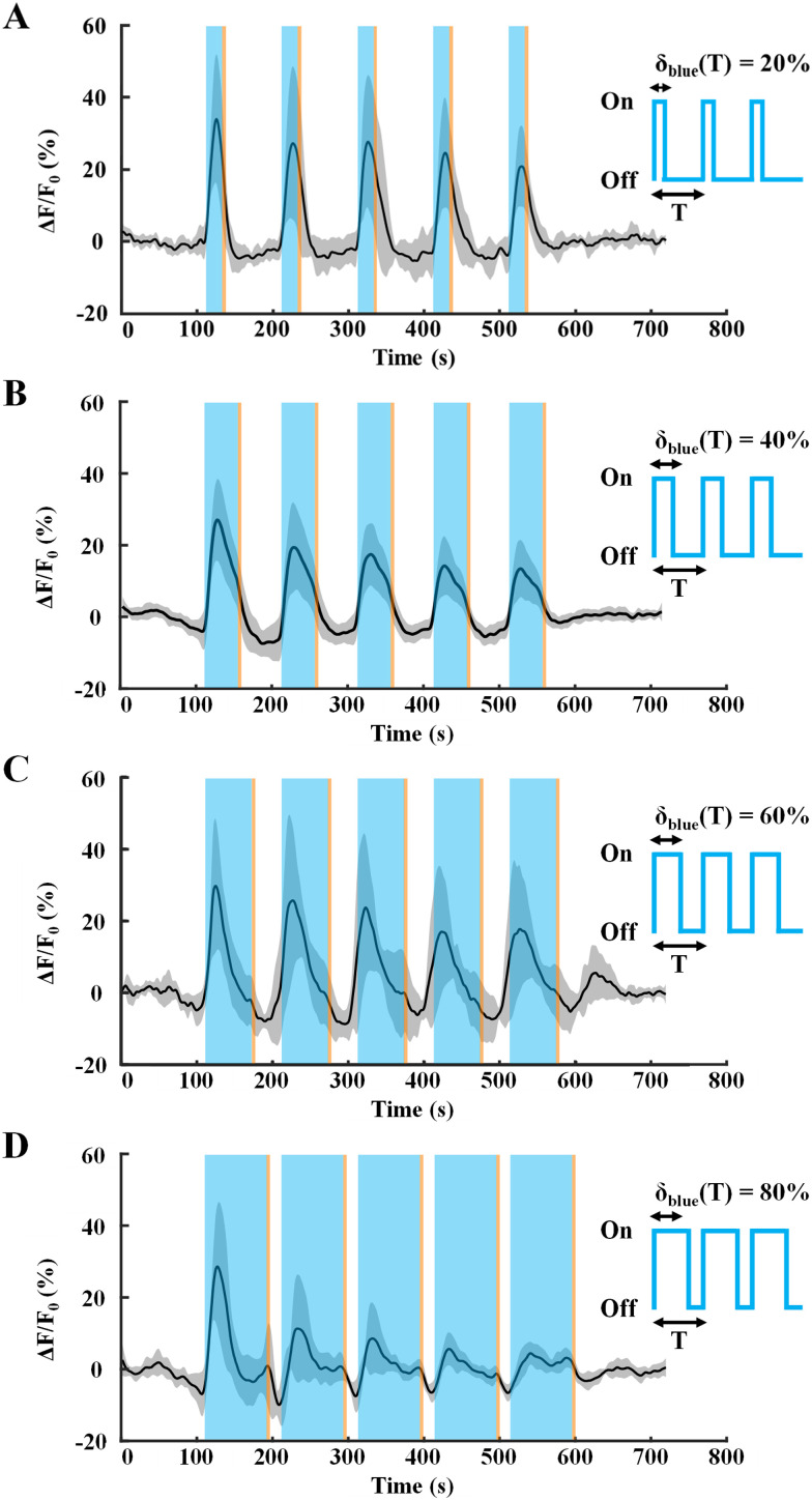 Characterization of Optimal Optogenetic Stimulation Paradigms to Evoke Calcium Events in Cortical Astrocytes.