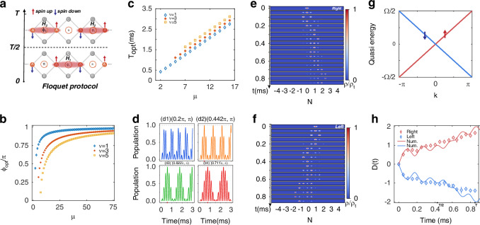 Engineering topological chiral transport in a flat-band lattice of ultracold atoms.