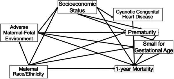 The Impact of Race and Ethnicity on Congenital Diaphragmatic Hernia 1-Year Mortality.