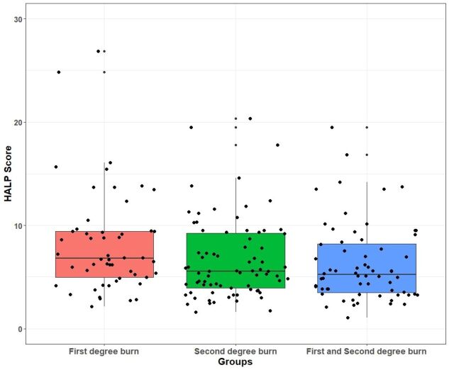 Evaluation of systemic immune inflammation index, HALP score, neutrophil-lymphocyte ratio and platelet-lymphocyte ratio in pediatric burned patients.