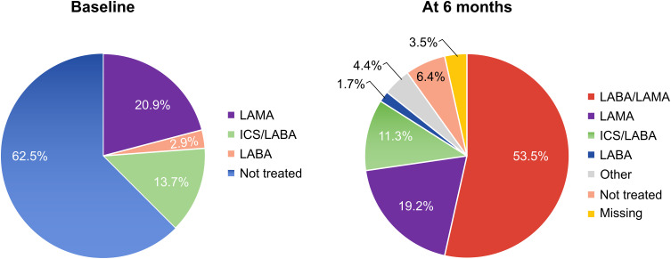 Understanding Chronic Obstructive Pulmonary Disease Management and Treatment Patterns in General Medicine: Results From the ASTER Study in Italy.