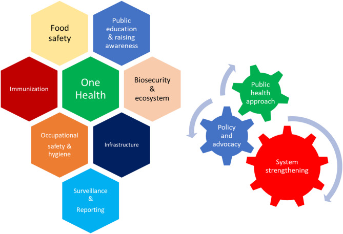 A scoping review of the national strategy for brucellosis control in Egypt: logic framework, challenges, and prospects.
