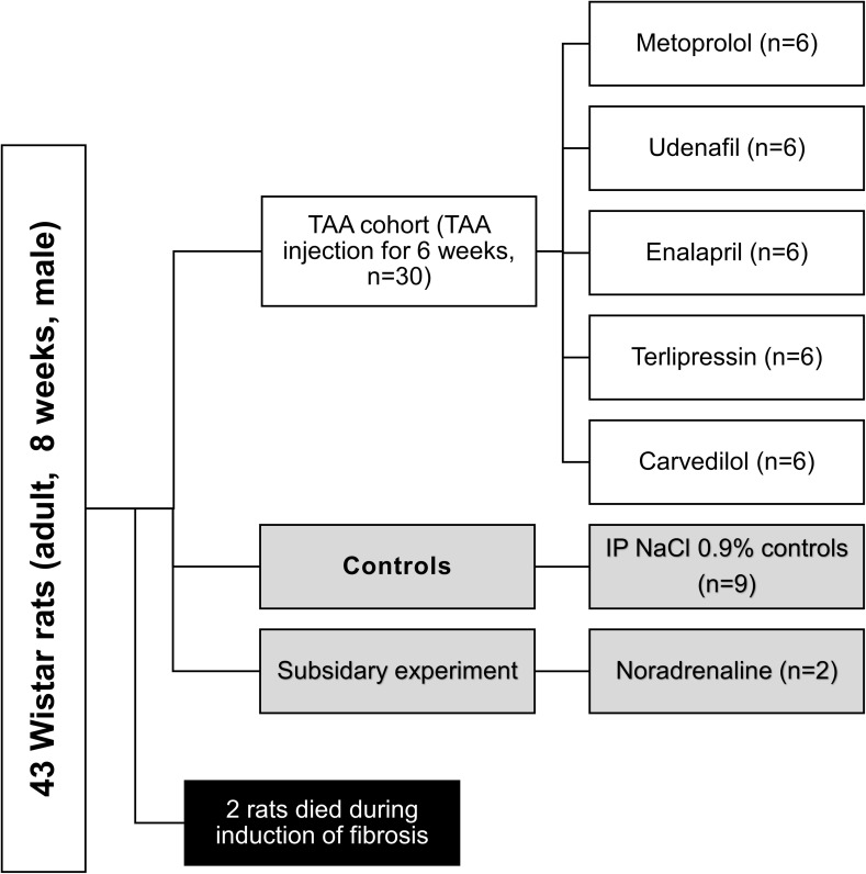 Pharmacological Modulation of Liver and Spleen Stiffness in a Cirrhotic Rat Model.