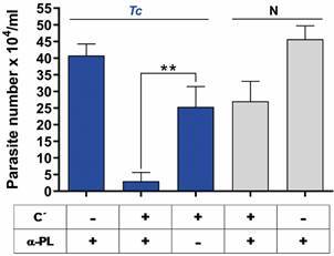 Phospholipids and phospholipase A1 as antigens during the course of experimental Trypanosoma cruzi infection.