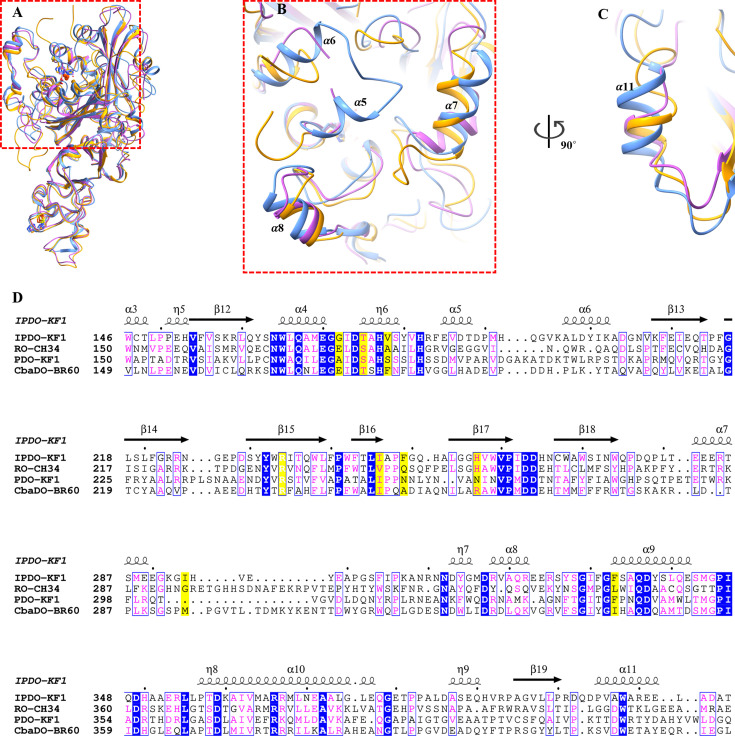 Structure-guided engineering of an aromatic ring-hydroxylating dioxygenase for broad-spectrum phthalate degradation.