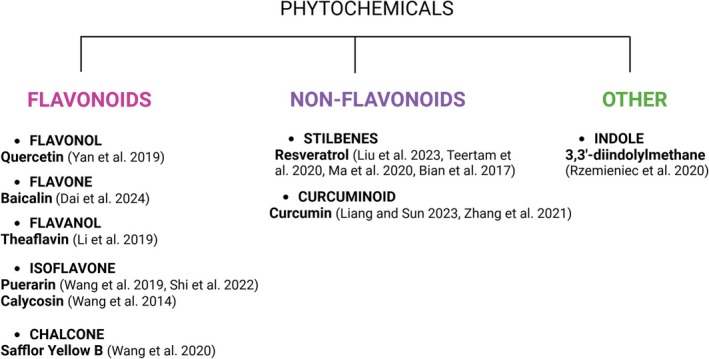 Modulation of miRNAs by Phytochemicals in Cerebral Ischemia: A Systematic Review of In Vitro and In Vivo Studies.