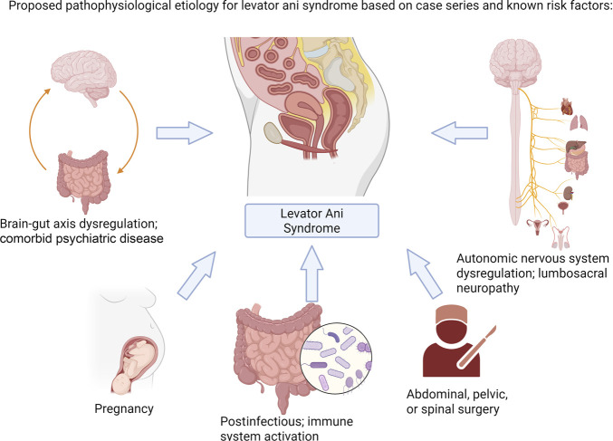 Atypical Presentations of Levator Ani Syndrome With Perianal Hyperhidrosis: A Case Series.