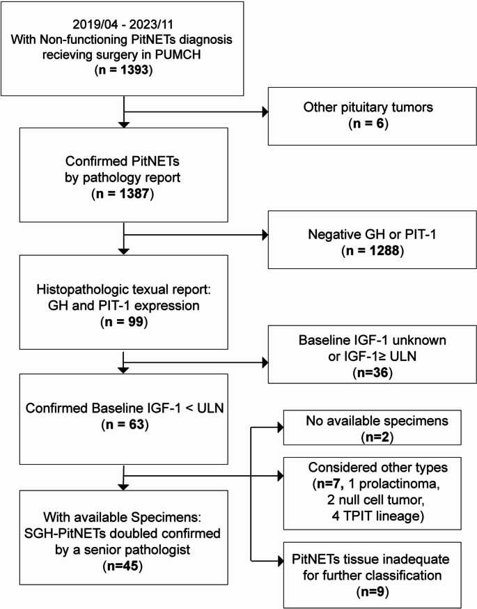 Silent growth hormone pituitary adenomas: a single-center study.