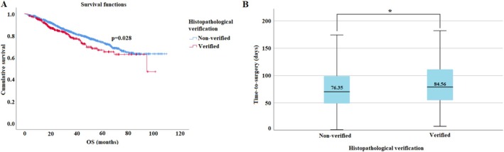 Clinical Significance of Time-to-Surgery and COVID-19 Pandemic in Surgically Treated Non-Small Cell Lung Cancer.