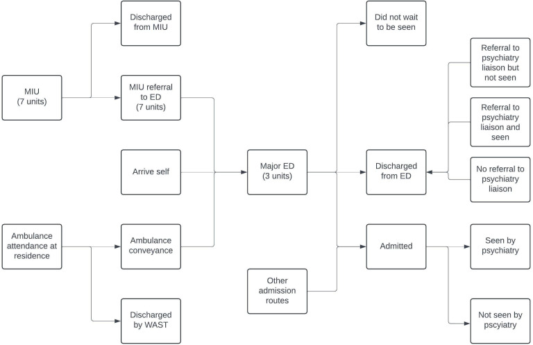Self-harm and Violence Presenting to Emergency Care Registry (SAVER) project: protocol for a mixed-methods study.