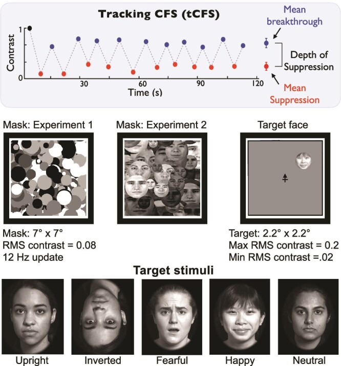 Priority access to awareness? A new 'CFS tracking' paradigm reveals no priority for fearful faces or a face inversion effect.