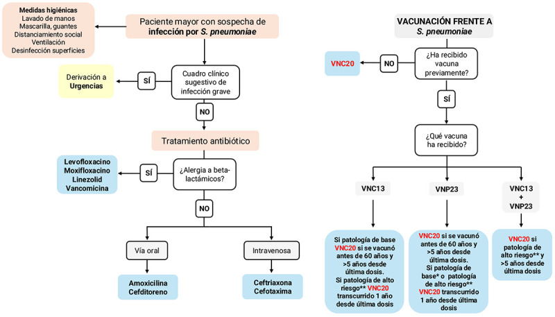 [Recommendations on prevention and treatment of respiratory infections in institutionalised older people].