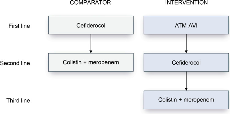 Estimating the Value of Aztreonam-Avibactam in Treating Metallo-beta-Lactamase-Producing Enterobacterales Infections in Spain Using the STEDI AMR Value Framework.