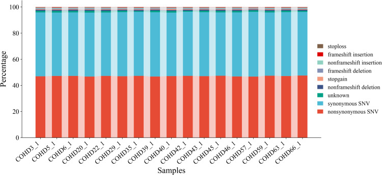 Whole Exome Sequencing Reveals Novel Genetic Variants Associated with Atrial Septal Defect in a Tibetan Patient Cohort.