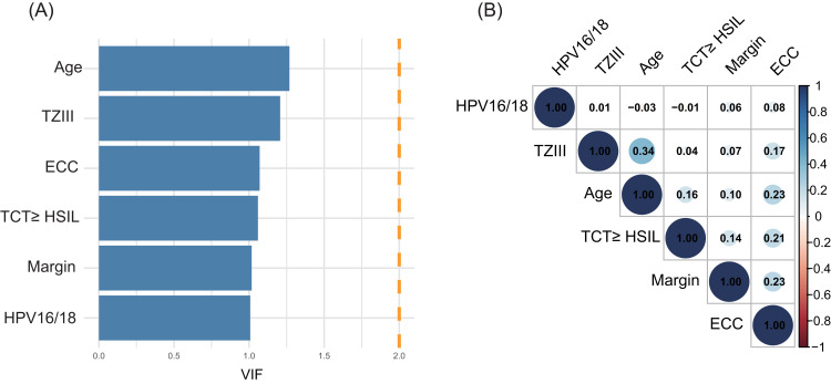 Prediction Models of Microinvasive Cervical Cancer in High-Grade Squamous Intraepithelial Lesion Treatment by Loop Electrosurgical Excision Procedure.