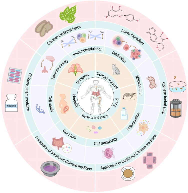 Potential Mechanisms of Traditional Chinese Medicine for the Treatment of Allergic Rhinitis: Evidence from Molecular and Clinical Studies.