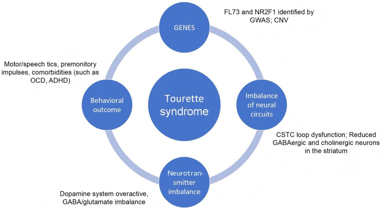 Traditional Chinese Medicine in the Comprehensive Management of Tourette Syndrome: Insights from Genetics and Pathophysiology: A Review.