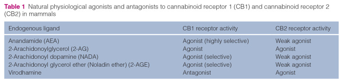 Cats and cannabinoids: past, present and future.
