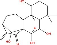 Insights Into Effects of Natural Bioactive Components on Inflammatory Diseases in Respiratory Tract.