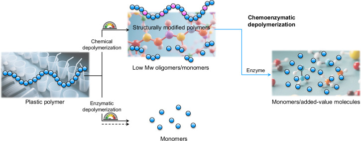 Chemoenzymatic cascade depolymerization of plastics.