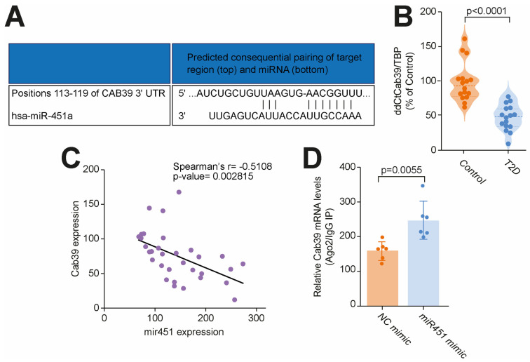 miR-451 Is a Driver of Lipotoxic Injury in Patients with Diabetic Cardiomyopathy.