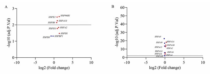 <i>HSPA13</i> gene and microRNA-155: relationship between Down syndrome and Alzheimer's disease.