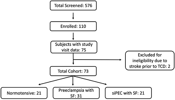 Aggregated postpartum cerebral autoregulatory curves in normotensive individuals, preeclampsia with severe features, and superimposed preeclampsia with severe features.