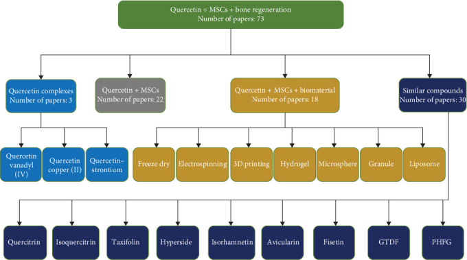 Natural Polyphenols and Mesenchymal Stem Cells: A New Insight in Bone Regenerative Medicine.