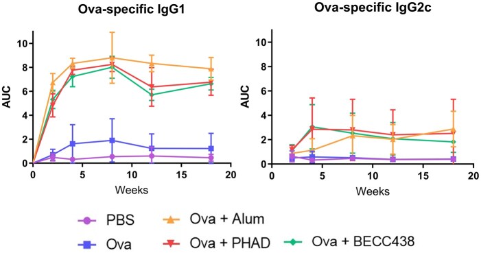 Lipid A mimetic BECC438 potentiates durable and balanced antibody responses in an ovalbumin murine model of vaccination.