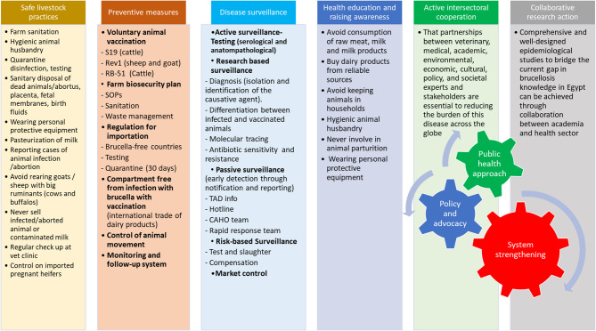 A scoping review of the national strategy for brucellosis control in Egypt: logic framework, challenges, and prospects.
