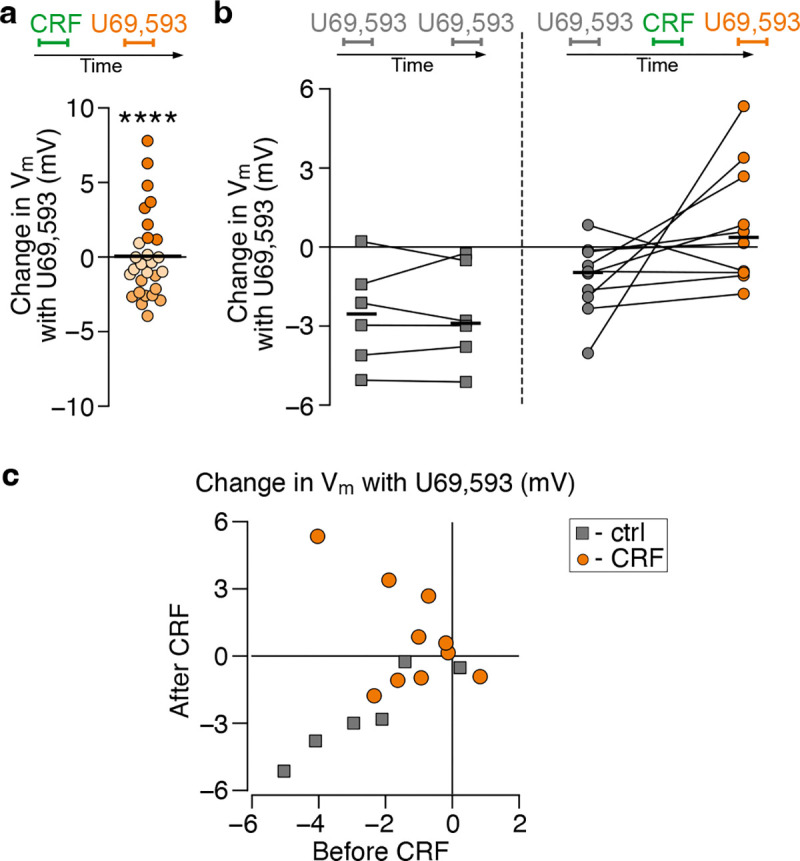 A switch in kappa opioid receptor signaling from inhibitory to excitatory induced by stress in a subset of cortically-projecting dopamine neurons.